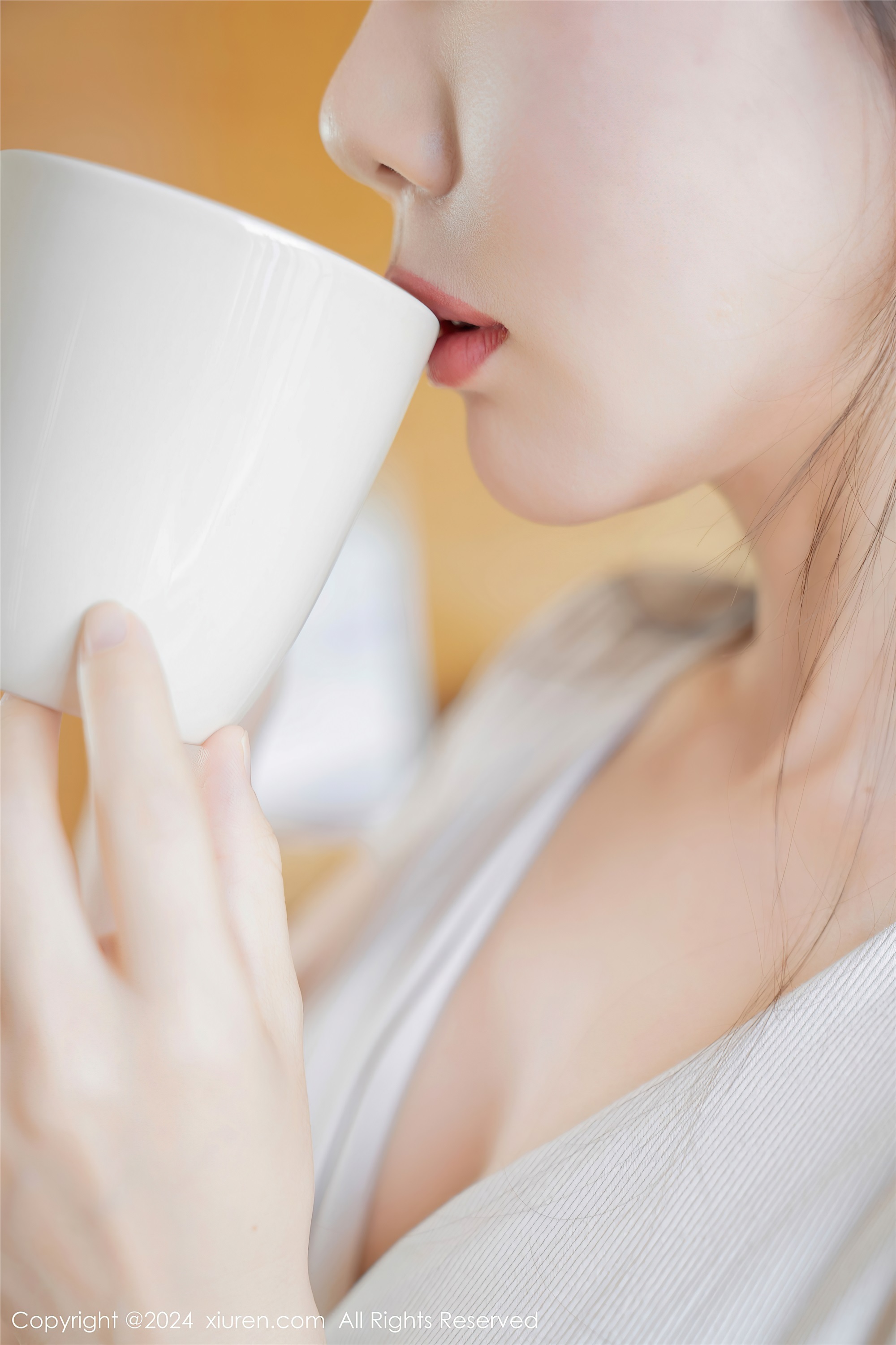 Xiuren秀人网 2024.02.20 NO.8112 波巧酱